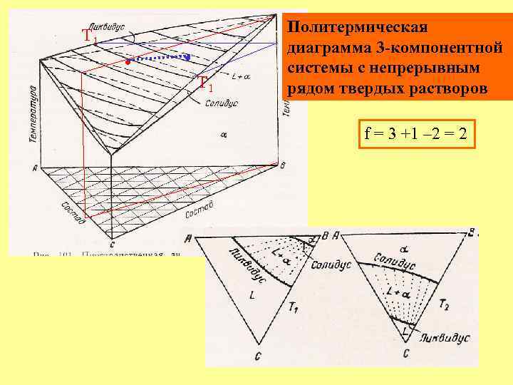 Т 1 • • Т 1 Политермическая диаграмма 3 -компонентной системы с непрерывным рядом