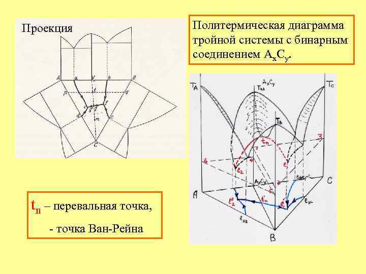 Проекция tn – перевальная точка, - точка Ван-Рейна Политермическая диаграмма тройной системы с бинарным