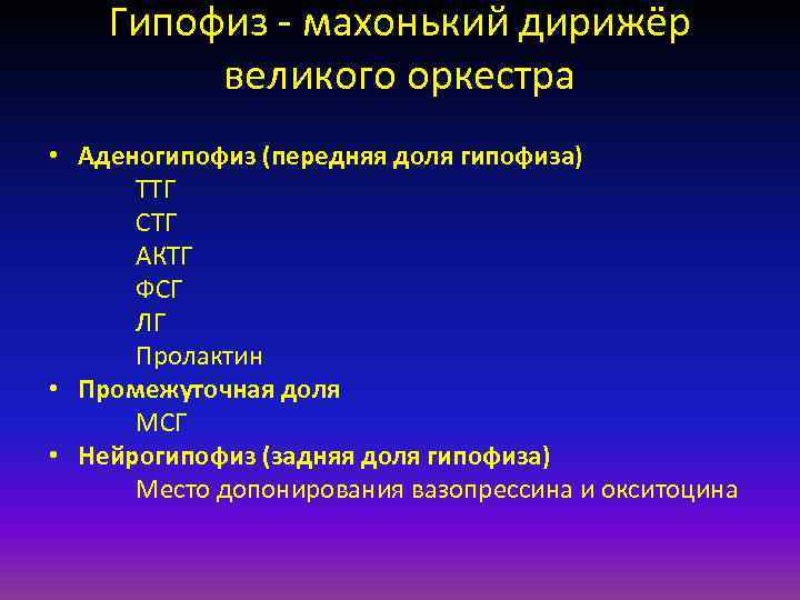 Гипофиз махонький дирижёр великого оркестра • Аденогипофиз (передняя доля гипофиза) ТТГ СТГ АКТГ ФСГ