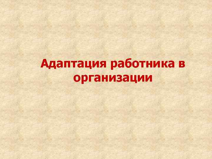 Адаптация работника в организации 