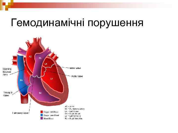 Гемодинамічні порушення 