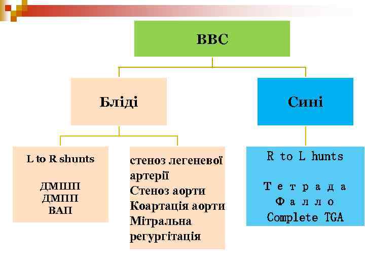 ВВС Бліді L to R shunts ДМШП ДМПП ВАП стеноз легеневої артерії Стеноз аорти
