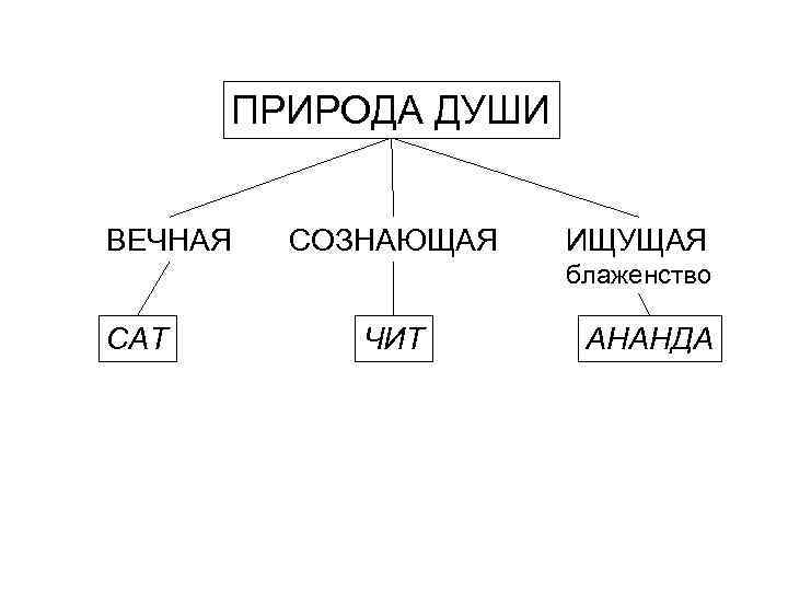 ПРИРОДА ДУШИ ВЕЧНАЯ СОЗНАЮЩАЯ ИЩУЩАЯ блаженство САТ ЧИТ АНАНДА 