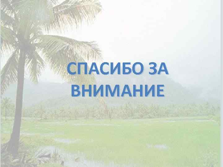 СПАСИБО ЗА ВНИМАНИЕ 