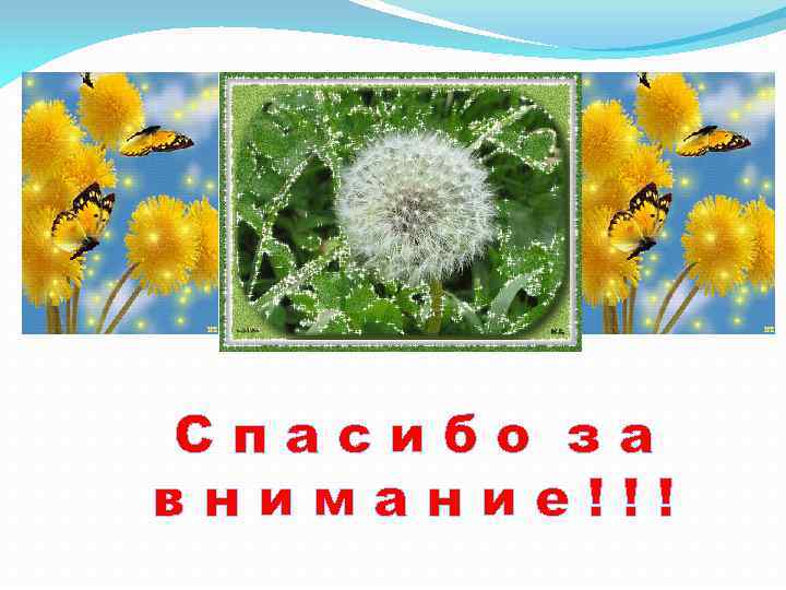 Спасибо за внимание!!! 