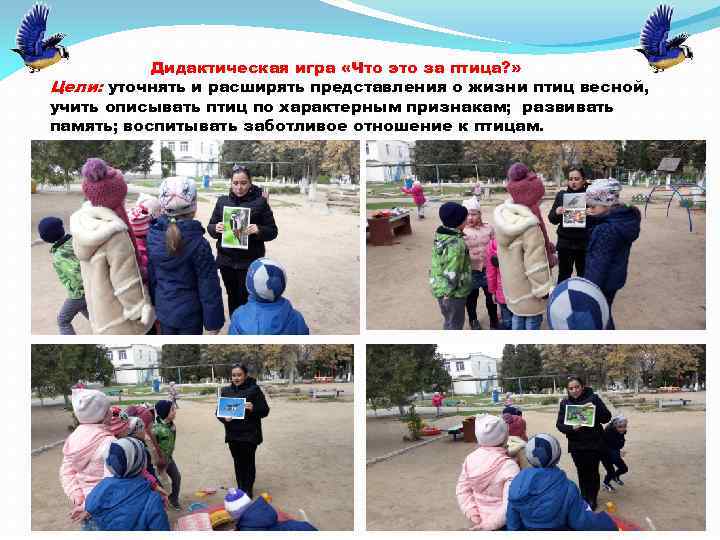 Дидактическая игра «Что это за птица? » Цели: уточнять и расширять представления о жизни