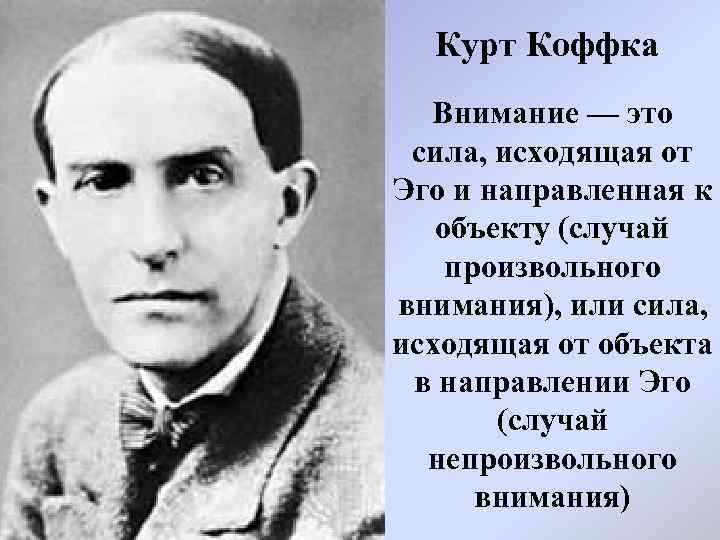 Курт коффка (1886-1941). Курт коффка гештальтпсихология. Курт коффка вклад в психологию. Курт коффка фото.