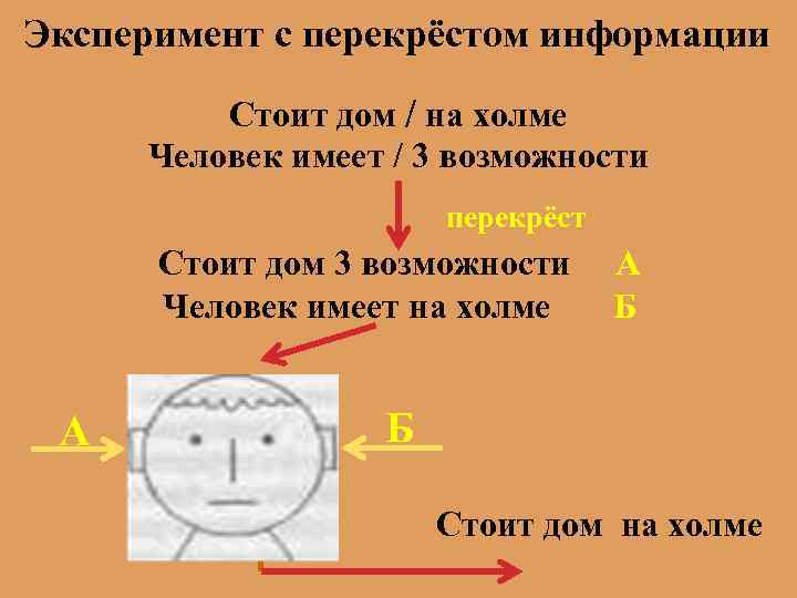 Моторная теория внимания принадлежит