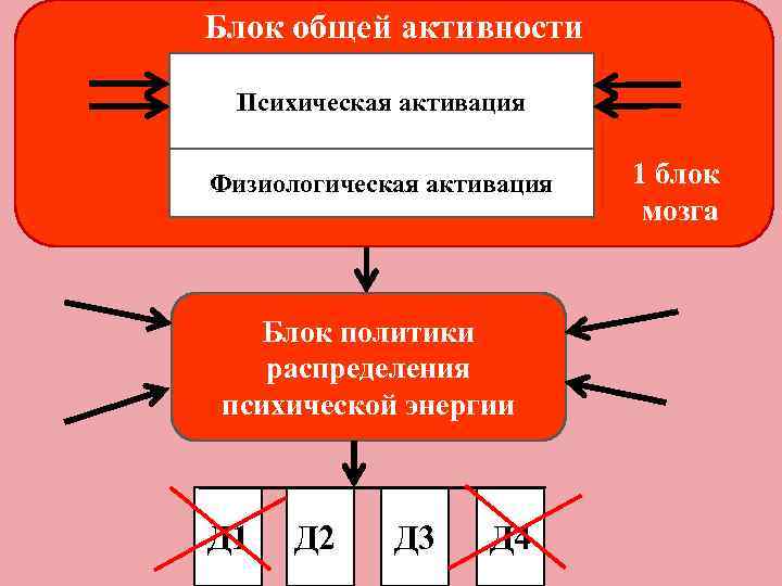 Моторная теория внимания принадлежит