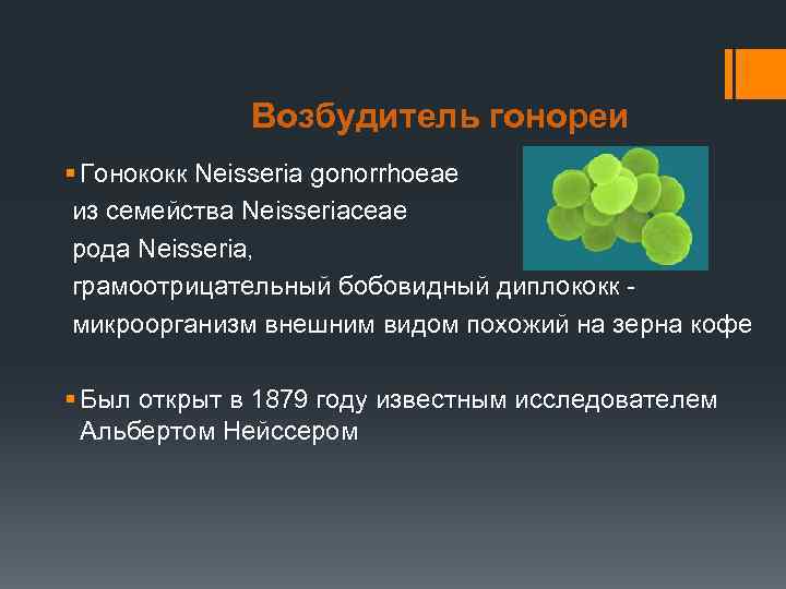 Возбудитель гонореи § Гонококк Neisseria gonorrhoeae из семейства Neisseriaceae рода Neisseria, грамоотрицательный бобовидный диплококк