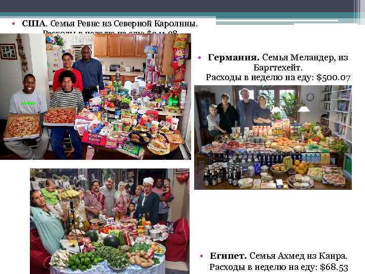  • США. Семья Ревис из Северной Каролины. Расходы в неделю на еду: $341.