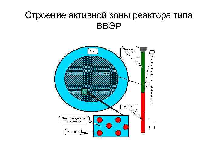 Строение активной зоны реактора типа ВВЭР 