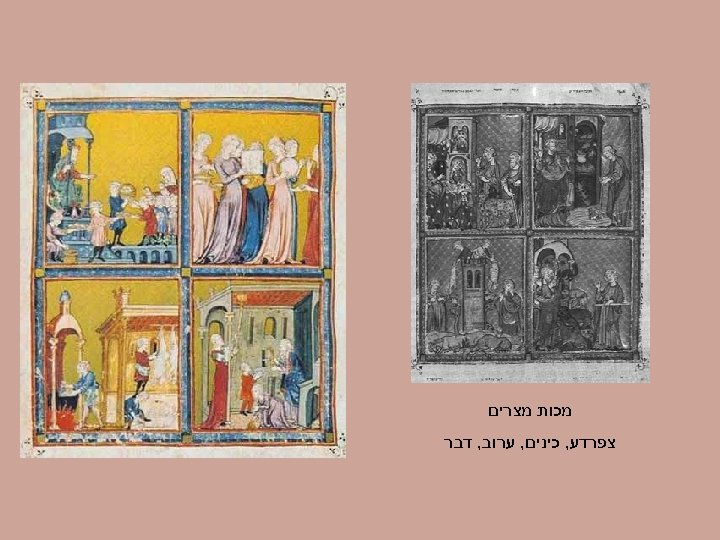  מכות מצרים צפרדע, כינים, ערוב, דבר 