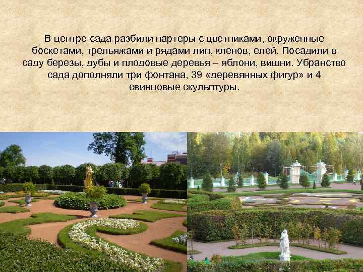 В центре сада разбили партеры с цветниками, окруженные боскетами, трельяжами и рядами лип, кленов,