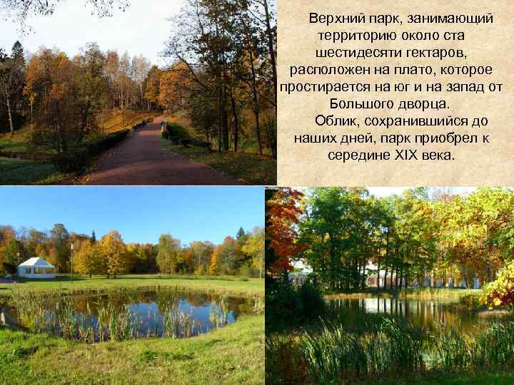  Верхний парк, занимающий территорию около ста шестидесяти гектаров, расположен на плато, которое простирается