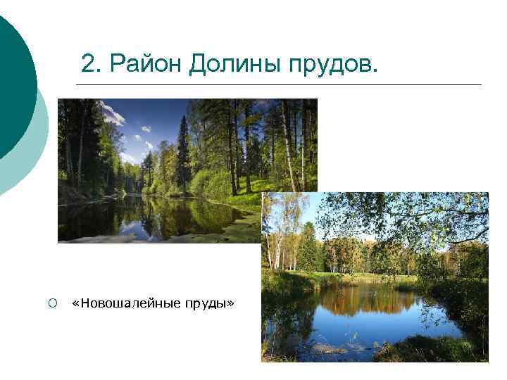 2. Район Долины прудов. ¡ «Новошалейные пруды» 