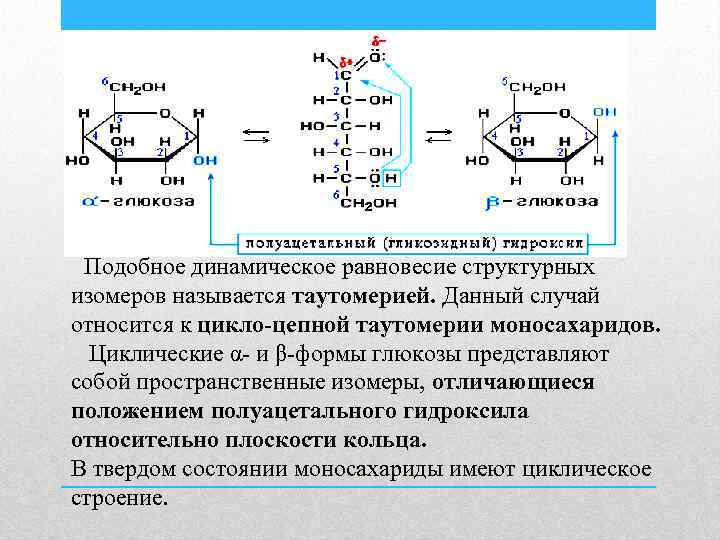 Моносахариды глюкоза строение