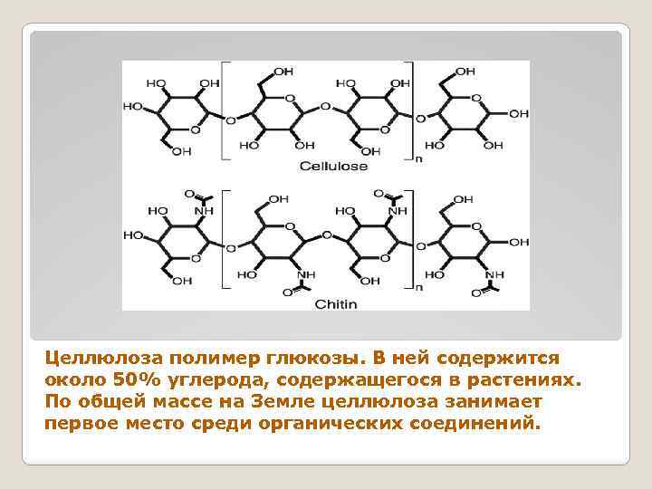 Целлюлоза полимер глюкозы. В ней содержится около 50% углерода, содержащегося в растениях. По общей