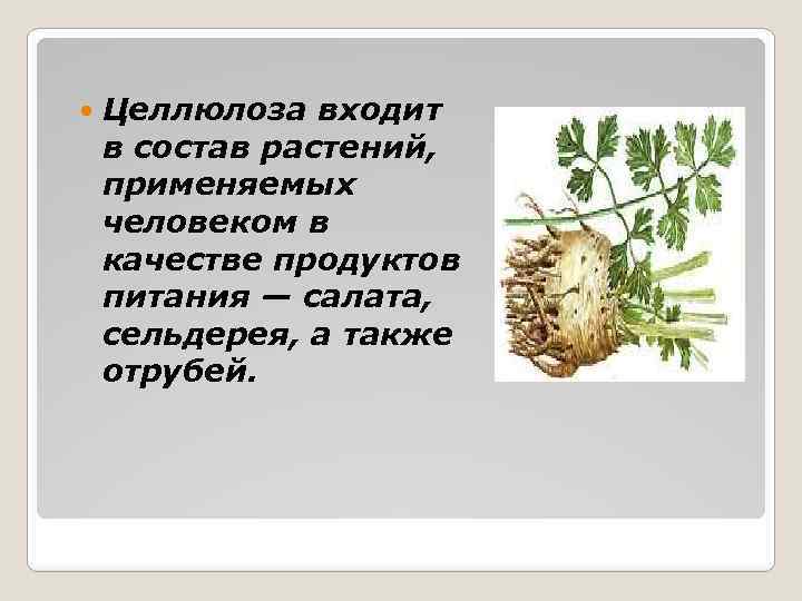  Целлюлоза входит в состав растений, применяемых человеком в качестве продуктов питания — салата,