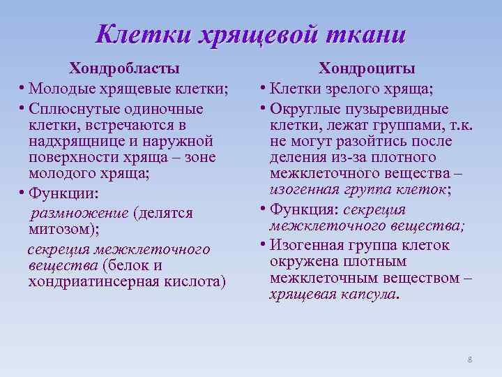 Клетки хрящевой ткани Хондробласты • Молодые хрящевые клетки; • Сплюснутые одиночные клетки, встречаются в