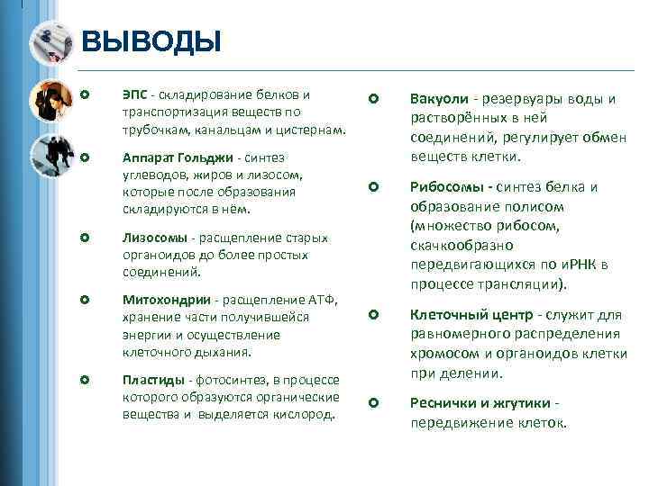 ВЫВОДЫ £ ЭПС - складирование белков и транспортизация веществ по трубочкам, канальцам и цистернам.