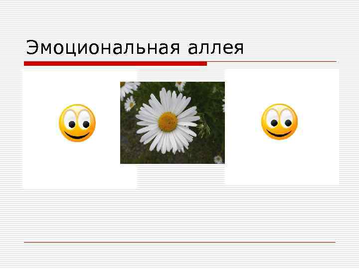 Эмоциональная аллея 