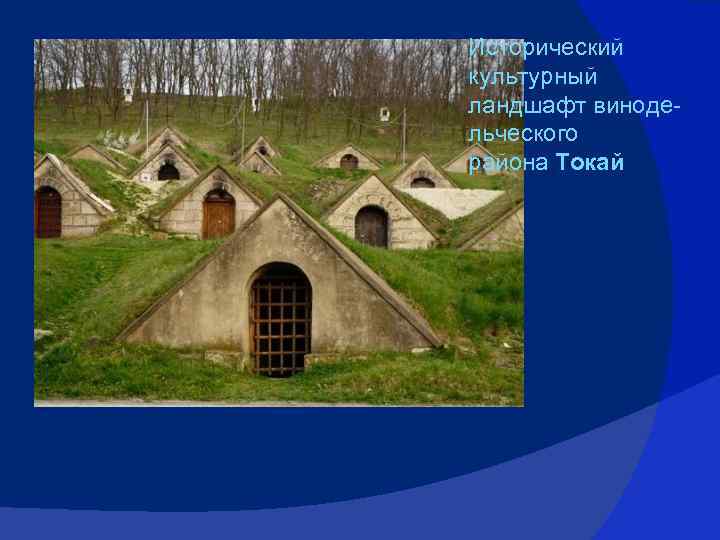 Исторический культурный ландшафт винодельческого района Токай 