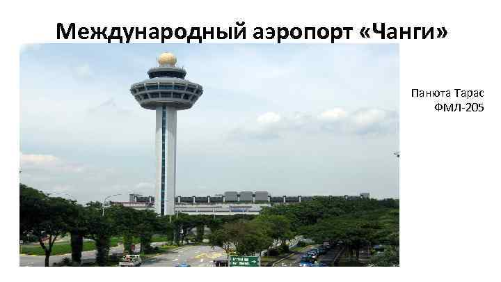 Международный аэропорт «Чанги» Панюта Тарас ФМЛ-205 