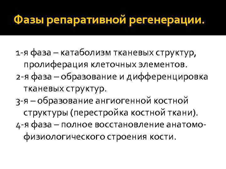 Фазы репаративной регенерации. 1 -я фаза – катаболизм тканевых структур, пролиферация клеточных элементов. 2