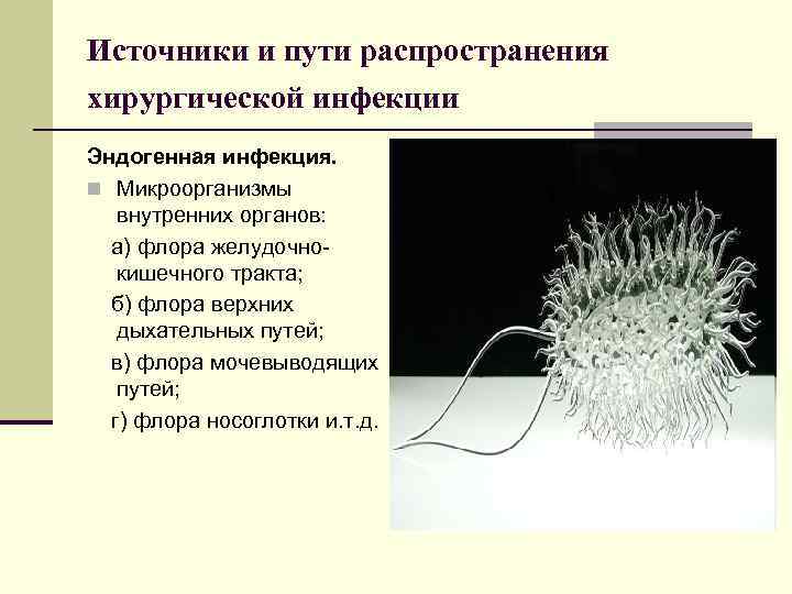 Источники и пути распространения хирургической инфекции Эндогенная инфекция. n Микроорганизмы внутренних органов: а) флора