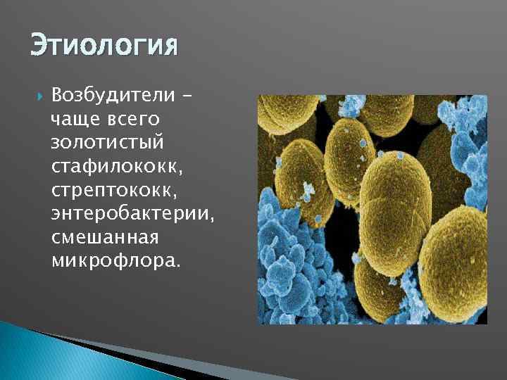 Этиология Возбудители – чаще всего золотистый стафилококк, стрептококк, энтеробактерии, смешанная микрофлора. 