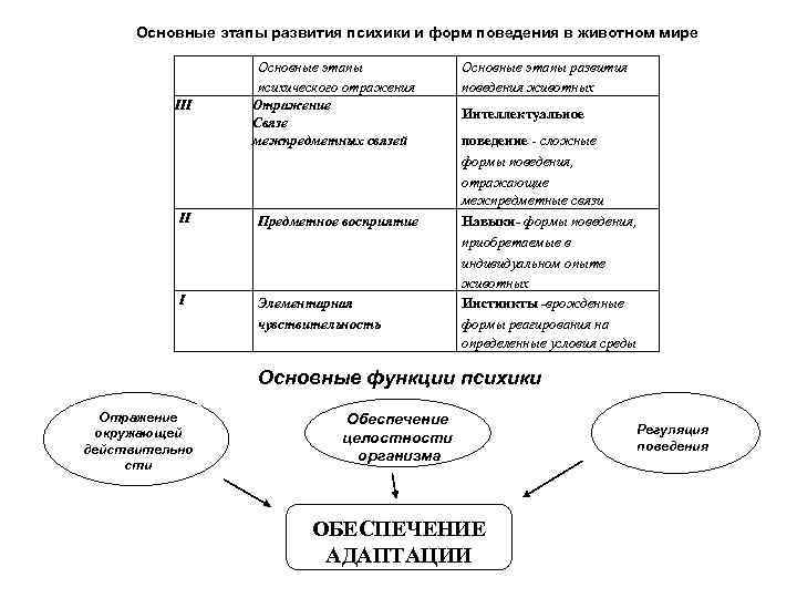 Формы поведения схема