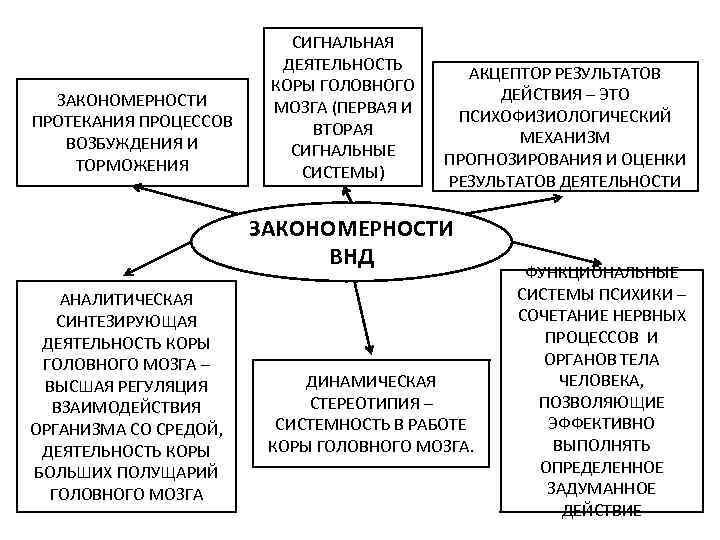 Закономерности деятельности