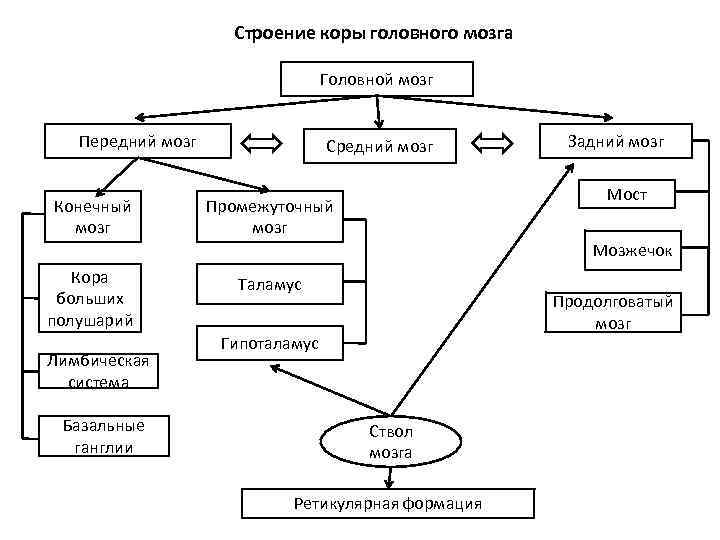 Графологическая схема это