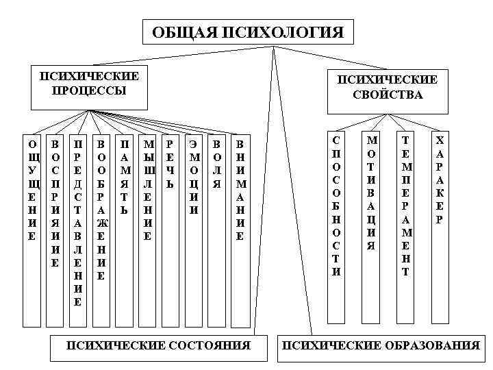 Схема психических процессов