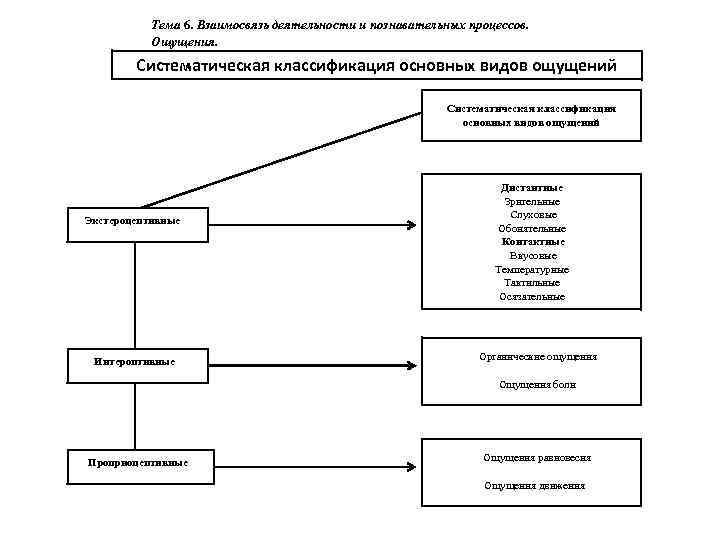 Тема 6. Взаимосвязь деятельности и познавательных процессов. Ощущения. Систематическая классификация основных видов ощущений Экстероцептивные