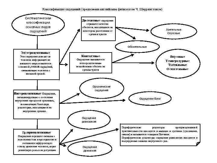 Классификация ощущений в психологии схема