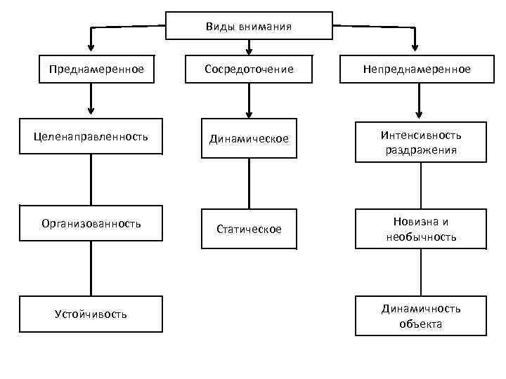 Виды внимания схема