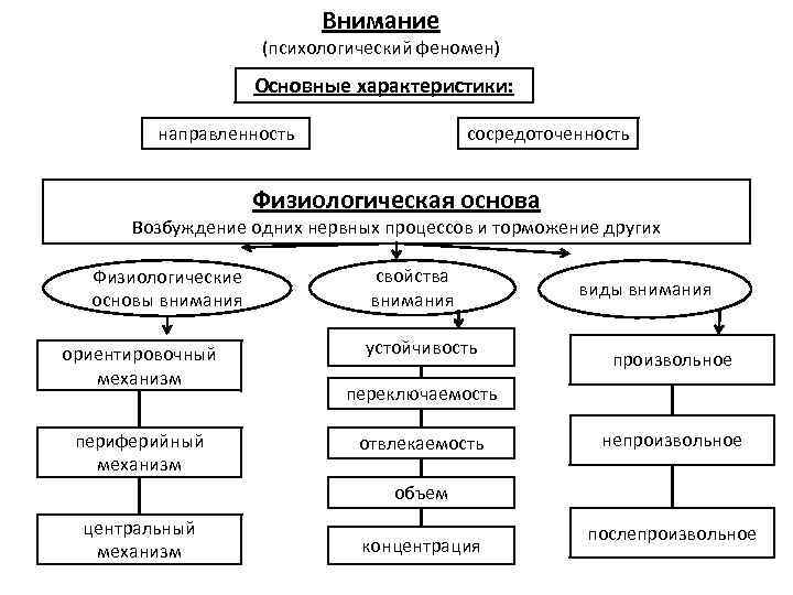 Карта схема психофизиология внимания