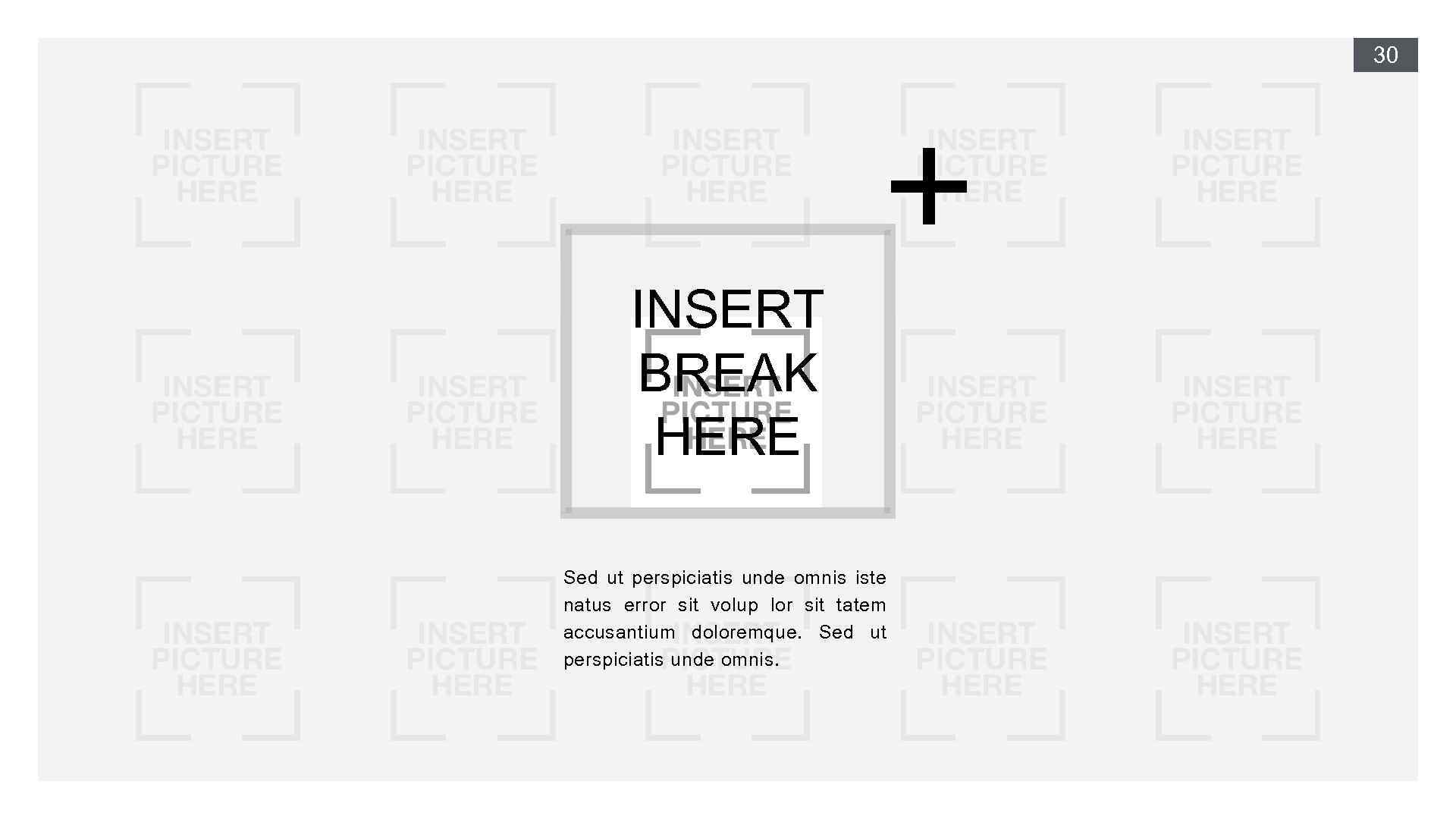 30 INSERT BREAK HERE Sed ut perspiciatis unde omnis iste natus error sit volup