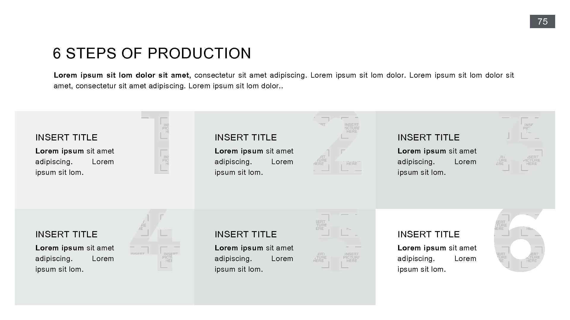 75 6 STEPS OF PRODUCTION Lorem ipsum sit lom dolor sit amet, consectetur sit