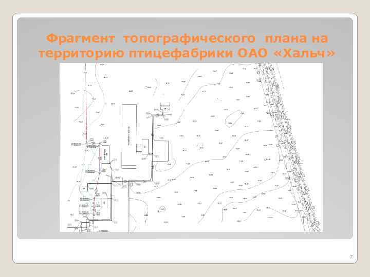 Фрагмент топографического плана на территорию птицефабрики ОАО «Хальч» 7 