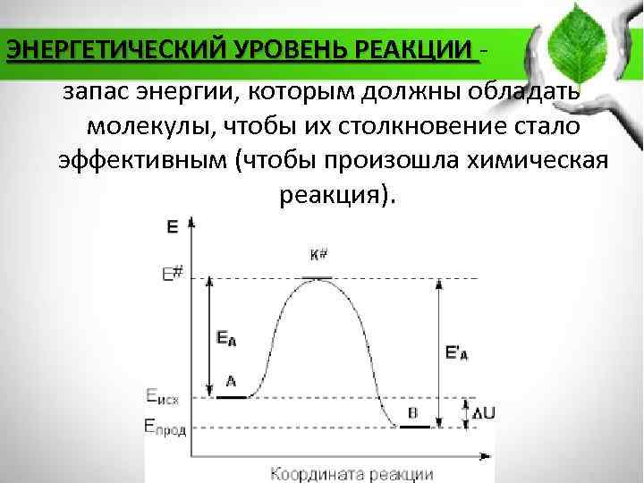Уровень реакции. Энергетический уровень реакции это. Энергетическая схема обратимой реакции. Энергетический профиль химической реакции ферментов. Молекулярный уровень реакций это.