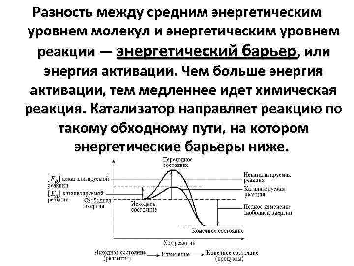 Уровень реакции