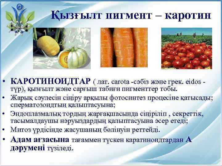 Қызғылт пигмент – каротин • КАРОТИНОИДТАР ( лат. carota -сәбіз және грек. eidos -