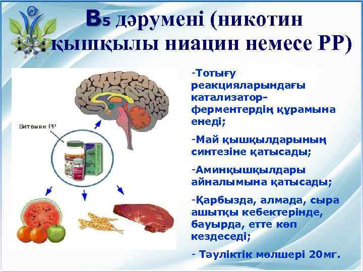  В 5 дәрумені (никотин қышқылы ниацин немесе РР) -Тотығу реакцияларындағы катализаторферментердің құрамына енеді;