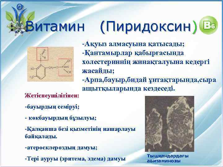 Витамин Жетіспеушілігінен: (Пиридоксин) -Ақуыз алмасуына қатысады; -Қантамырлар қабырғасында холестериннің жинақталуына кедергі жасайды; -Арпа, бауыр,