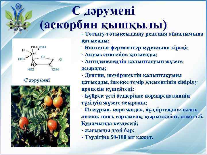 С дәрумені (аскорбин қышқылы) - Тотығу-тотықсыздану С дәрумені реакция айналымына қатысады; - Көптеген ферменттер