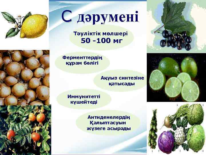 С дәрумені Тәуліктік мөлшері 50 -100 мг Ферменттердің құрам бөлігі Ақуыз синтезіне қатысады Иммунитетті