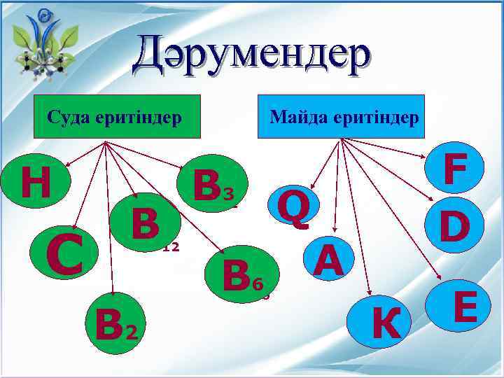 Дәрумендер Майда еритіндер Суда еритіндер Н С В В 2 В 12 Q 3